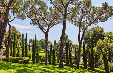 Similar image 12204362