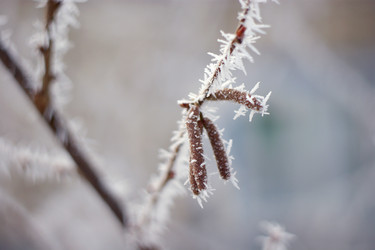 Similar image 12197034