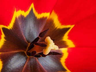 Similar image 12197182