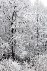 Similar image 12196988