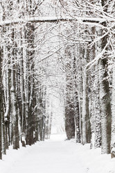 Similar image 12196989