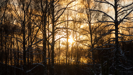 Similar image 12196990