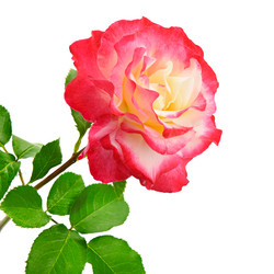 Similar image 12211565