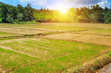 Similar image 12211567