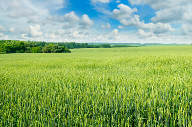 Similar image 12211584