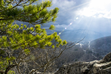 Similar image 12218525