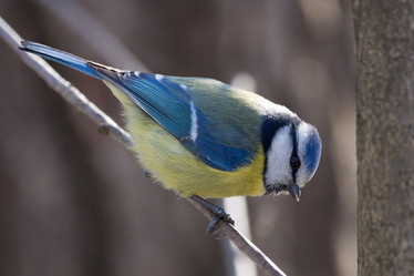 Similar image 12196994