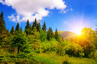 Similar image 12211571