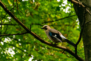 Similar image 12218526