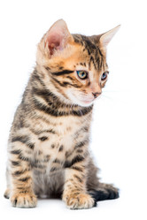 Similar image 12213827