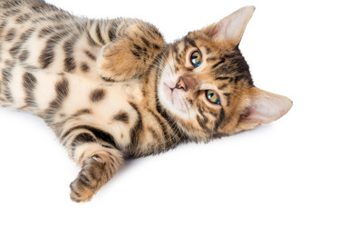 Similar image 12213829