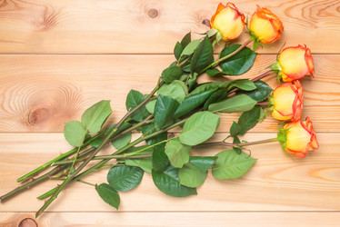 Similar image 12213862