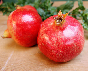 Similar image 12207246