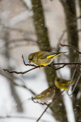 Similar image 12219209