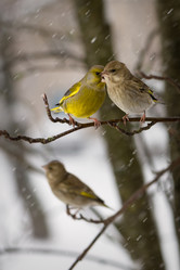 Similar image 12219319