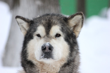 Similar image 12200284