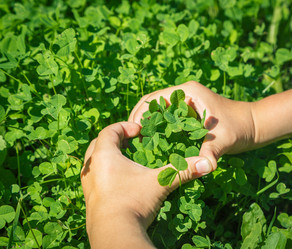 Similar image 12217613