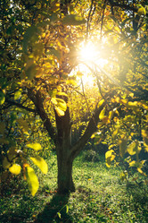 Similar image 12217622