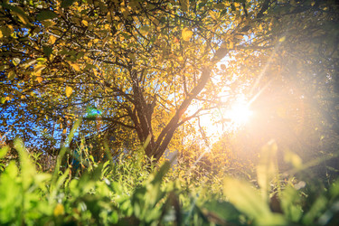 Similar image 12217624