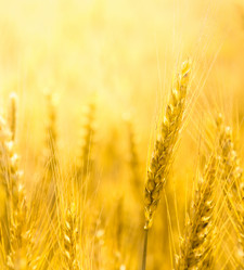 Similar image 12217626