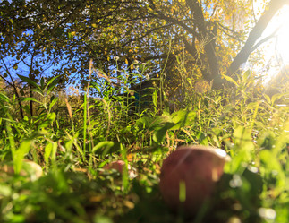 Similar image 12217627