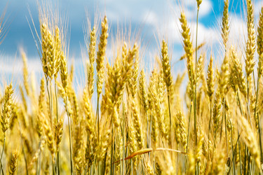 Similar image 12217637