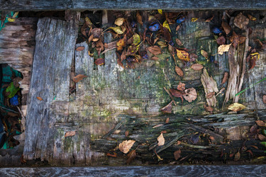 Similar image 12217638