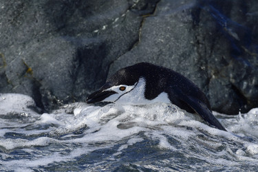 Similar image 12216097