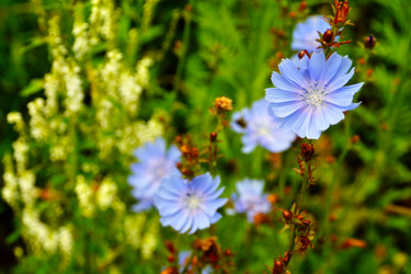 Similar image 12199539