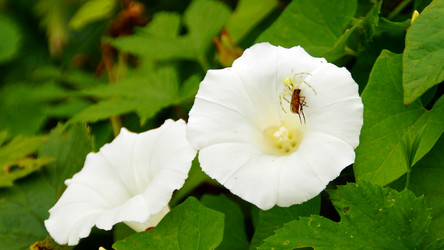 Similar image 12199546