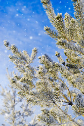 Similar image 12199563