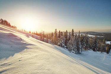 Similar image 12205472