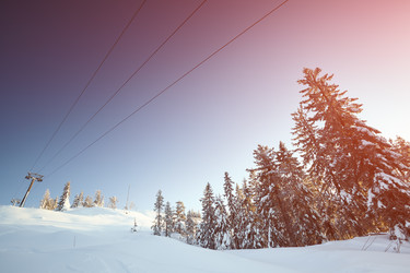 Similar image 12205487