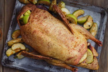 Similar image 12199004