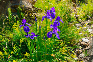 Similar image 12211578