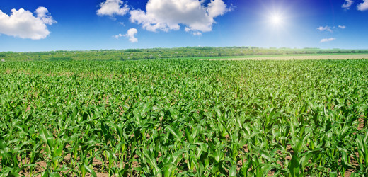 Similar image 12211580