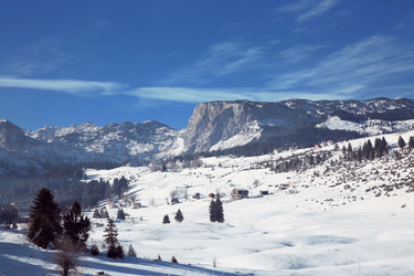 Similar image 12214099