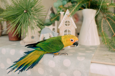 Similar image 12199671