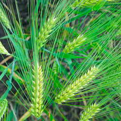 Similar image 12211541