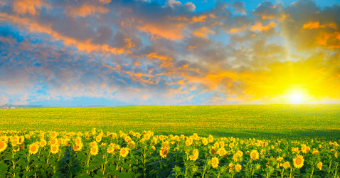 Similar image 12211546