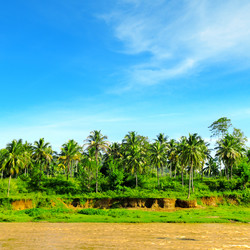 Similar image 12211551