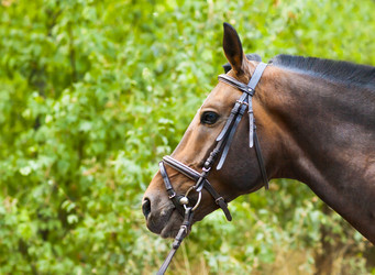 Similar image 12209759