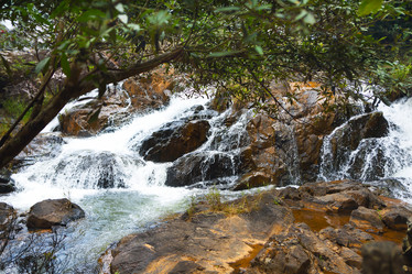 Similar image 12209774