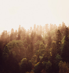 Similar image 12216366