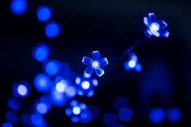 Similar image 12201015