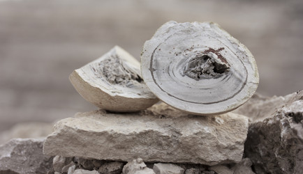 Similar image 12201017