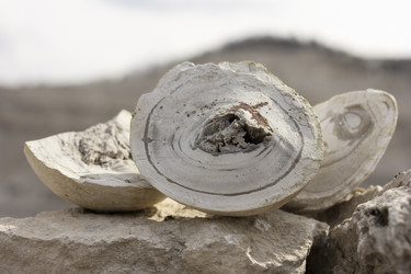 Similar image 12201018