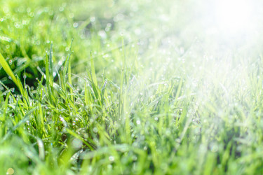 Similar image 12200988