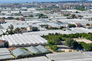 Similar image 12220305