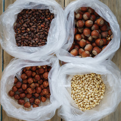 Similar image 12205388